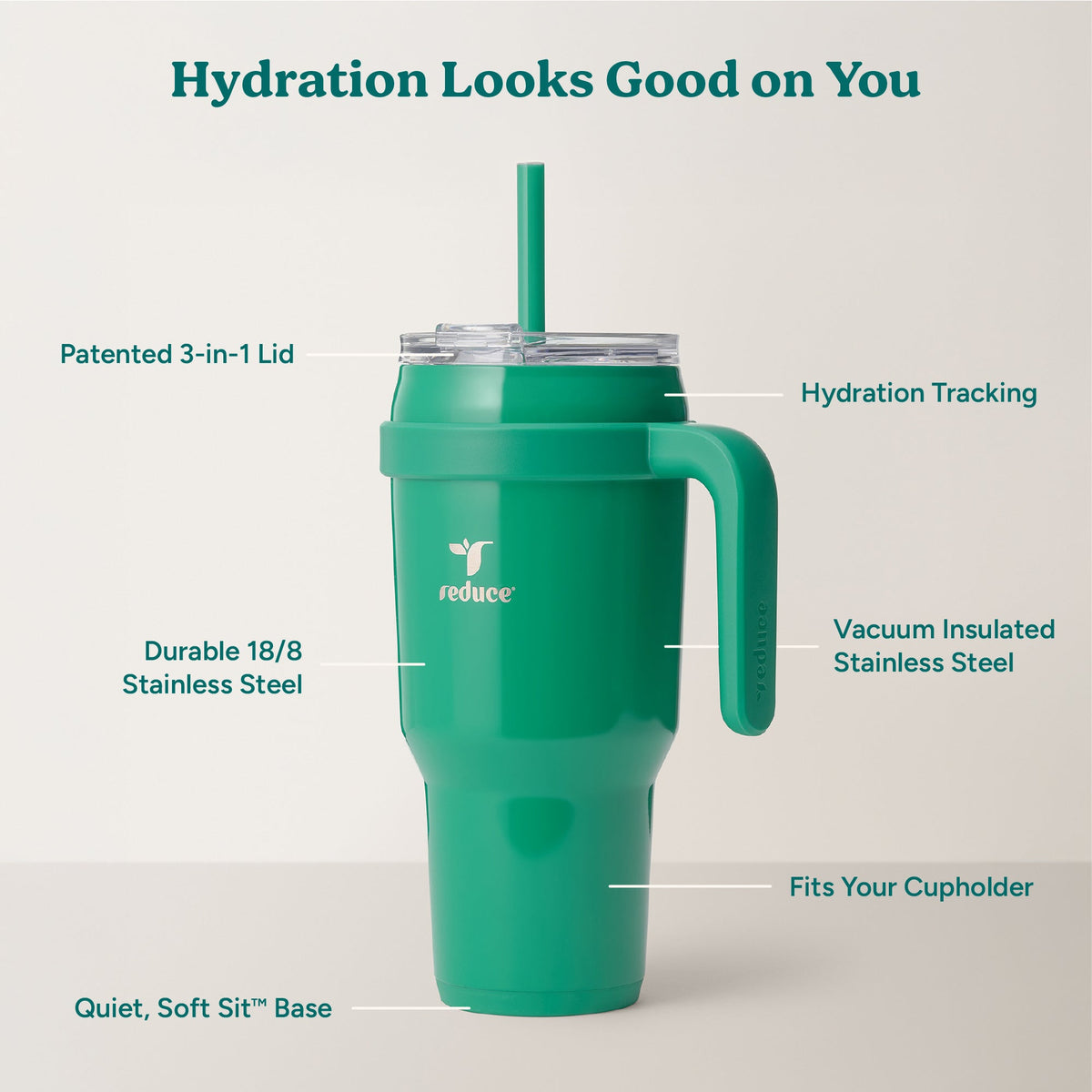 cold1-40-oz-w8 Cold1_40oz_PalmLeaf_Infographic_2.jpg