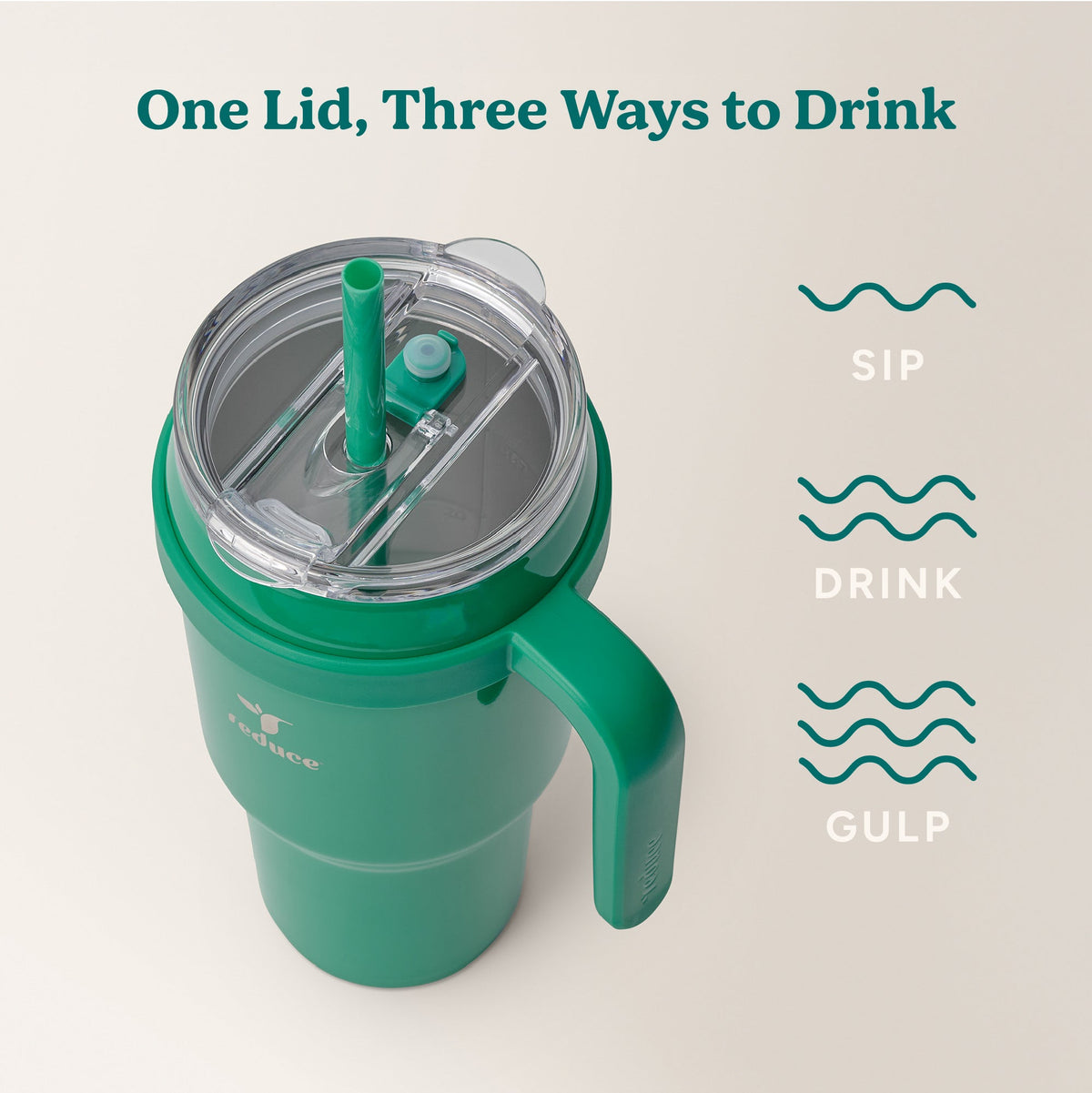 cold1-40-oz-w8 Cold1_40oz_PalmLeaf_Infographic_3.jpg
