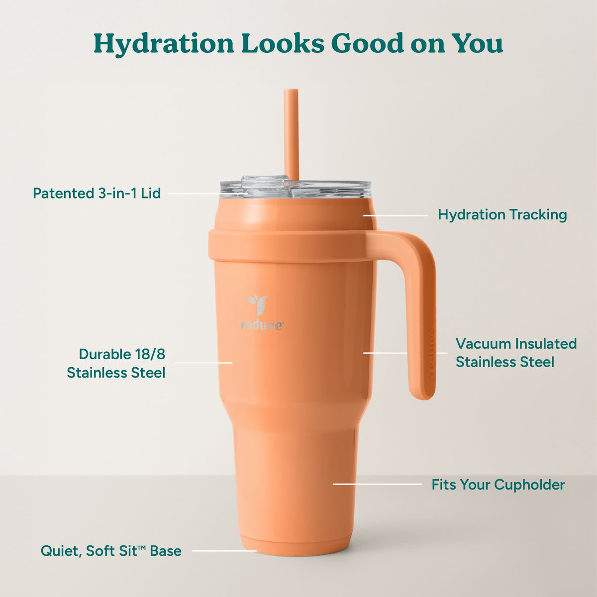 cold1-40-oz-w8 Cold1_40oz_Papaya_Infographic_2.jpg